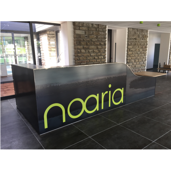 Borne accueil Noaria